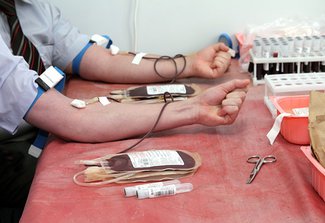 Какие есть льготы почетным донорам крови в 2015-2016 году?